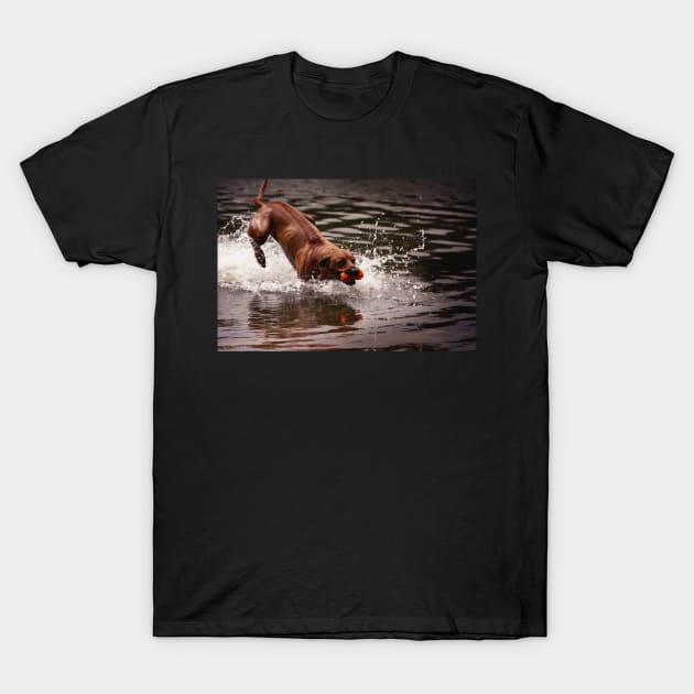 Rhodesian Ridgeback T-Shirt by hottehue